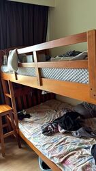 Blk 639A Tampines Greenvines (Tampines), HDB 4 Rooms #602657841